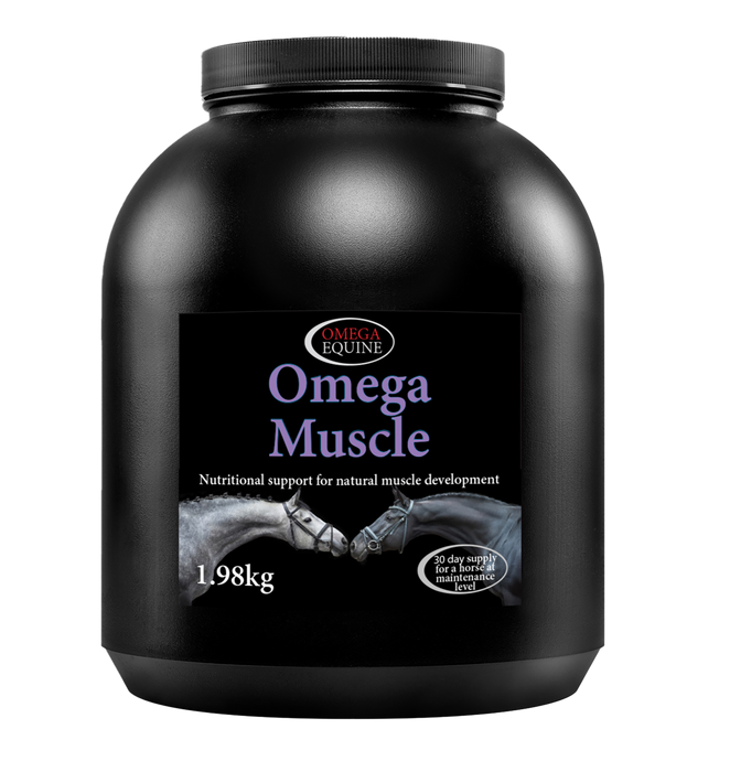 Muscle