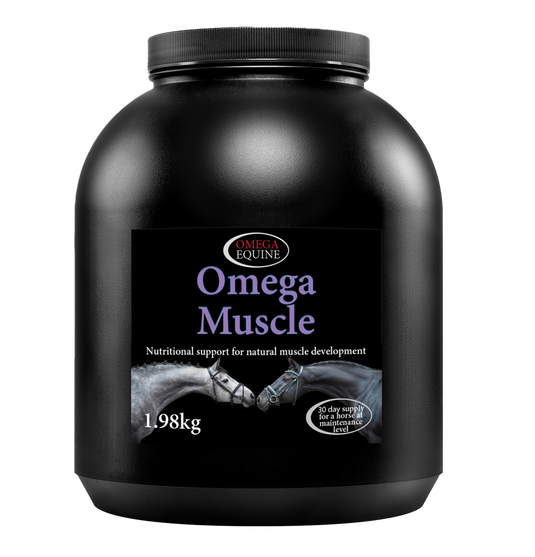 Muscle