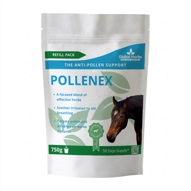 Load image into Gallery viewer, Pollenex Refill Pouch 750g - Global Herbs
