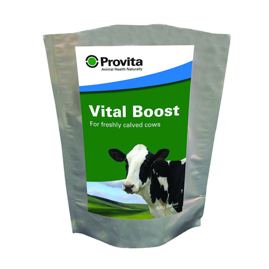 Provita Vital Boost