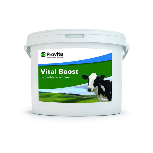 Provita Vital Boost