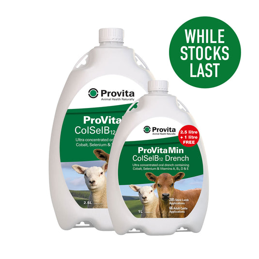 Provita Provitamin Colselb12 Promo Pack