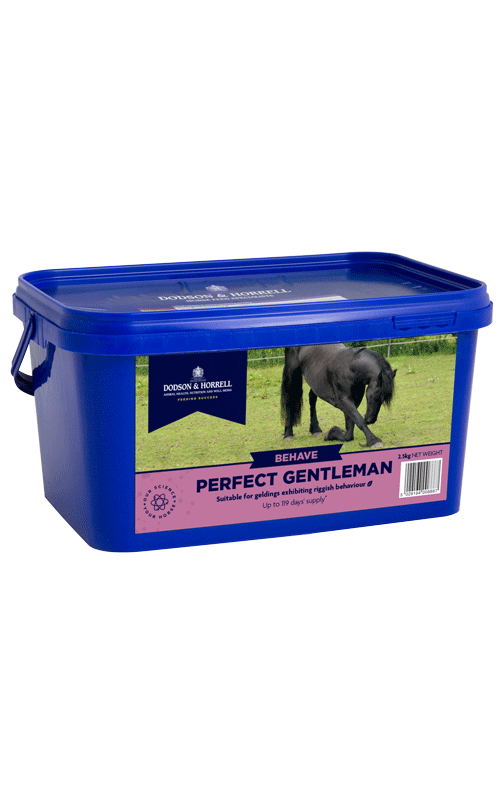 D&H Perfect Gentleman 1kg
