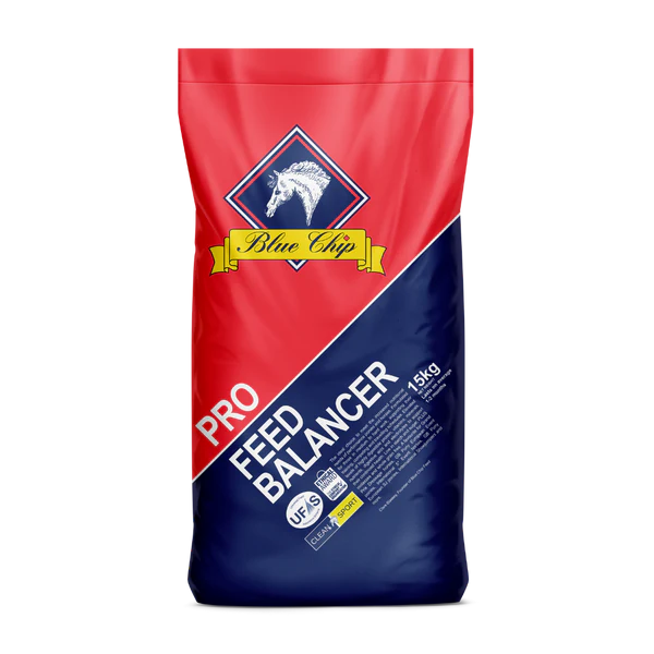 Blue Chip PRO 15kg