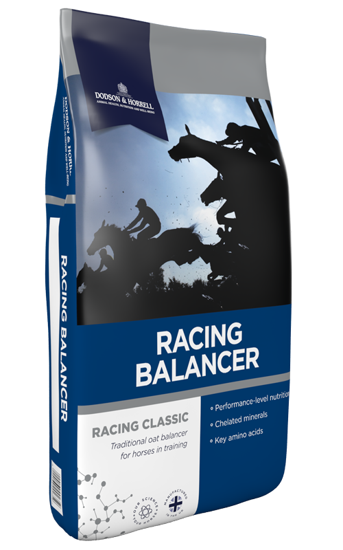 D&H Racing Balancer 20kg