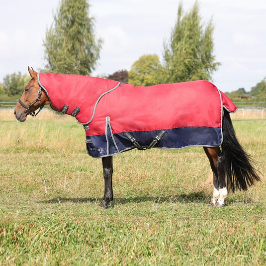 Stormx Empra 200 G Turnout Rug With Detachable Neck Burgundy
