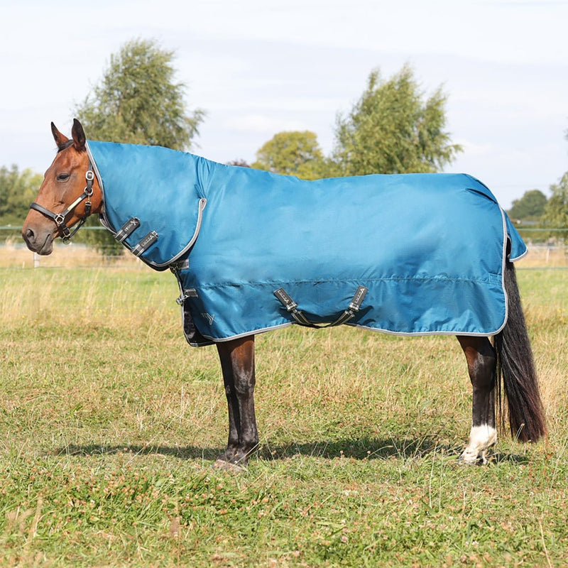 Load image into Gallery viewer, Stormx Empra 50 G Combi Turnout Rug Teal
