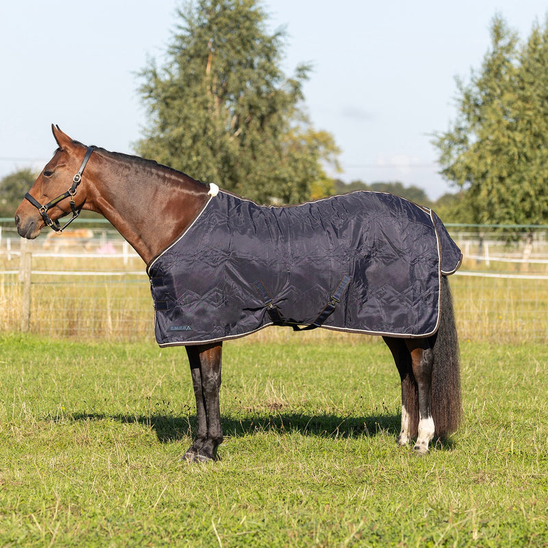 Load image into Gallery viewer, Stormx Empra Luxury Show Rug Navy/Cream

