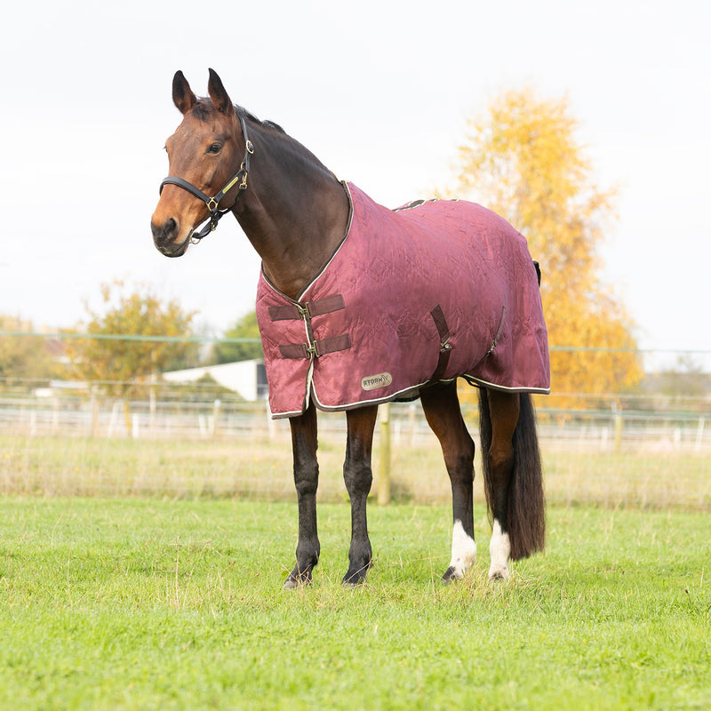 Load image into Gallery viewer, Stormx Empra Luxury Show Rug Burgundy/Cream
