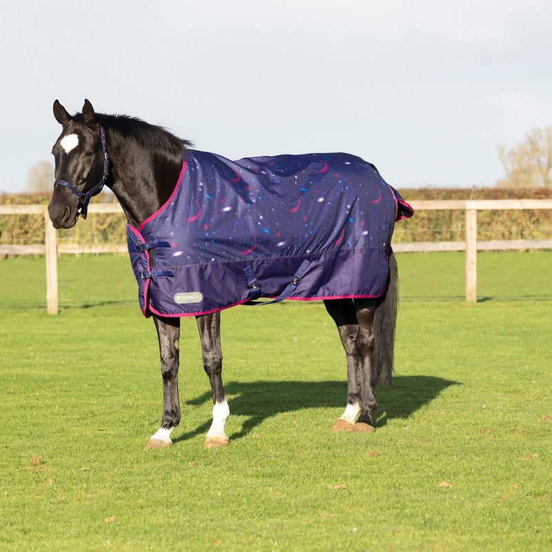 Load image into Gallery viewer, Stormx Original Out Of This World 100 G Turnout Rug
