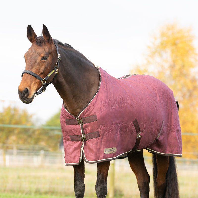Load image into Gallery viewer, Stormx Empra 100 G Combi Stable Rug Black
