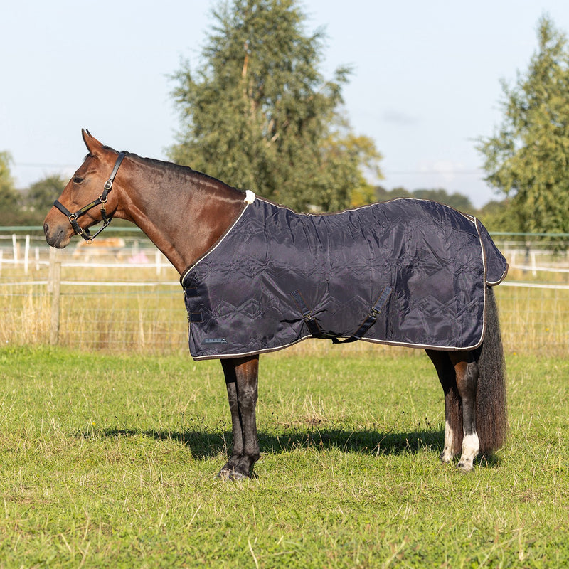 Load image into Gallery viewer, Stormx Empra 100 G Combi Stable Rug Black
