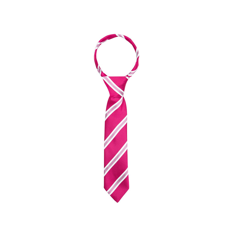 Load image into Gallery viewer, Supreme Products Show Tie Stripe
