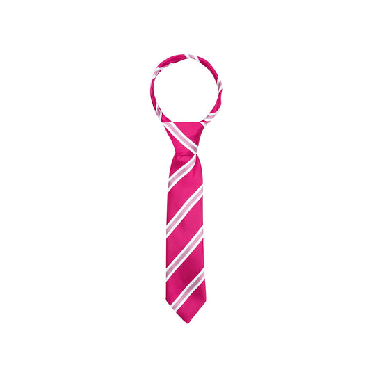Supreme Products Show Tie Stripe