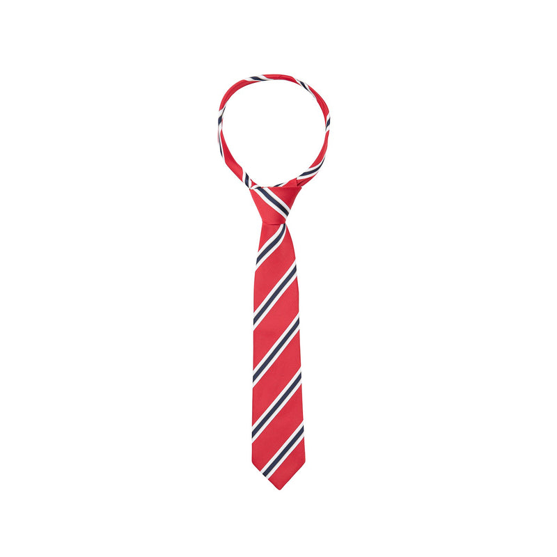 Load image into Gallery viewer, Supreme Products Show Tie Stripe Child
