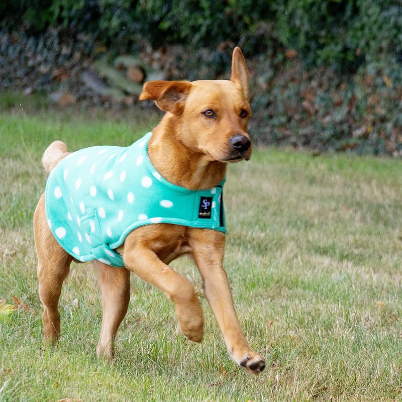Load image into Gallery viewer, Supreme Products Dotty Fleece Dog Coat Gorgeous Green
