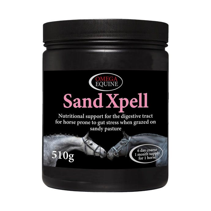 SandXpell