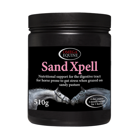 SandXpell
