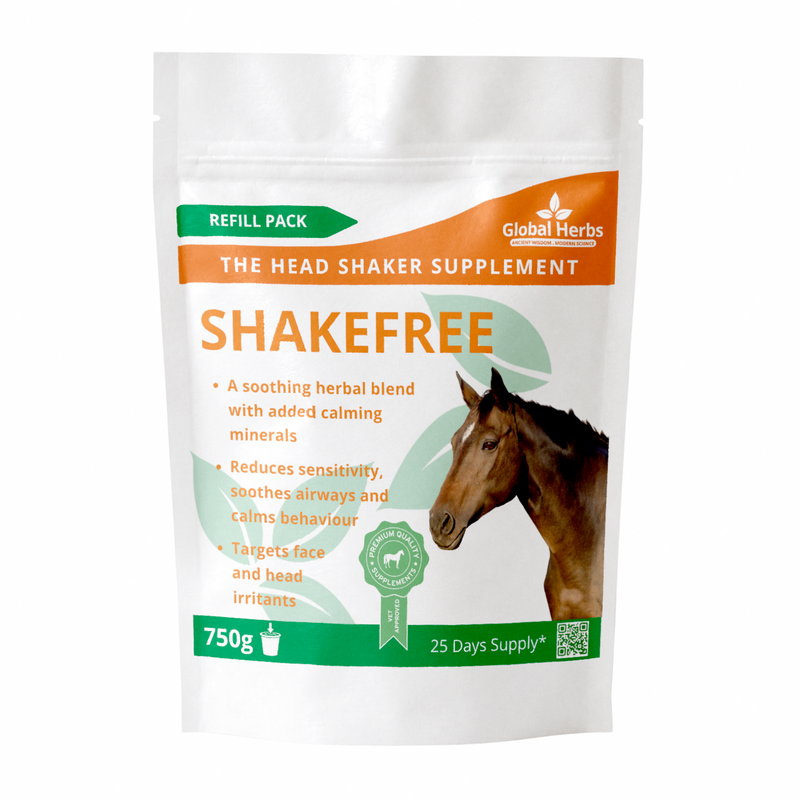 Load image into Gallery viewer, Shakefree Refill Pouch 750g - Global Herbs
