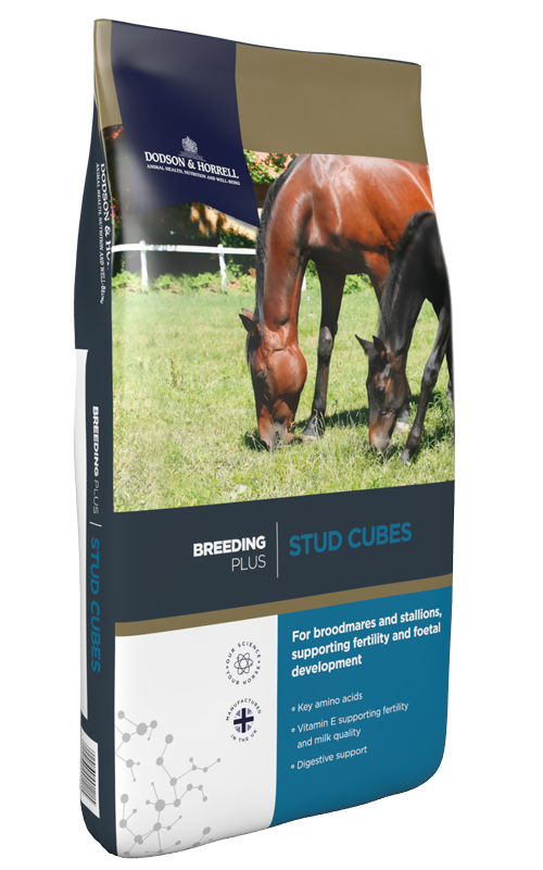 D&H Stud Cubes 20kg