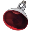 Intelec Hard Glass Infra Red Heat Bulb 250 W