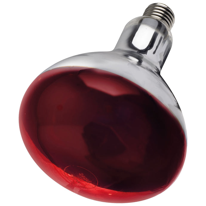 Intelec Hard Glass Infra Red Heat Bulb 250 W