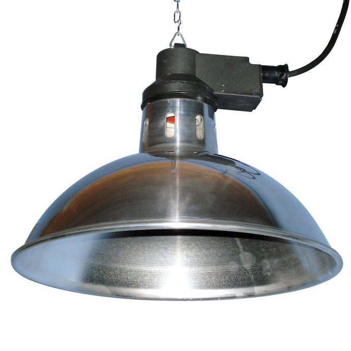 Intelec Trad Infra Red Heat L Amp 11.75