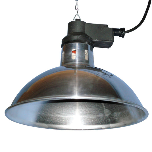 Intelec Trad Infra Red Heat L Amp 11.75