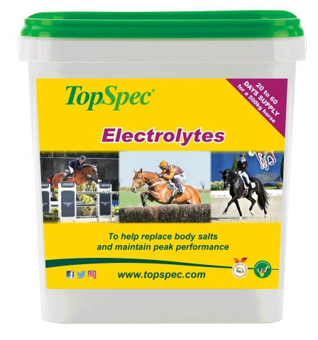 Load image into Gallery viewer, TopSpec Electrolytes - 1.5kg
