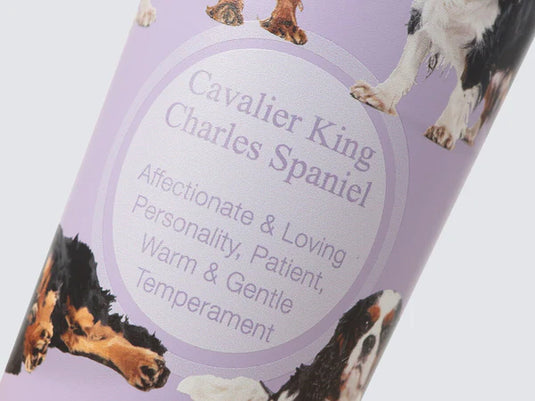 GB Tumbler - Hot & Cold Drinks Capsule - Cavalier King Charles Spaniel