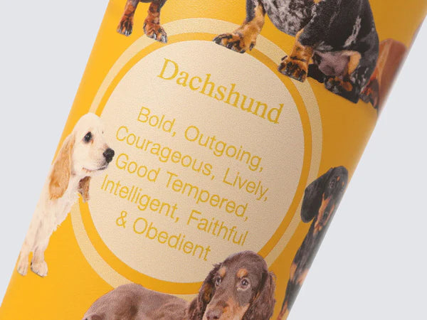 Load image into Gallery viewer, GB Tumbler - Hot &amp; Cold Drinks Capsule - Dachshund
