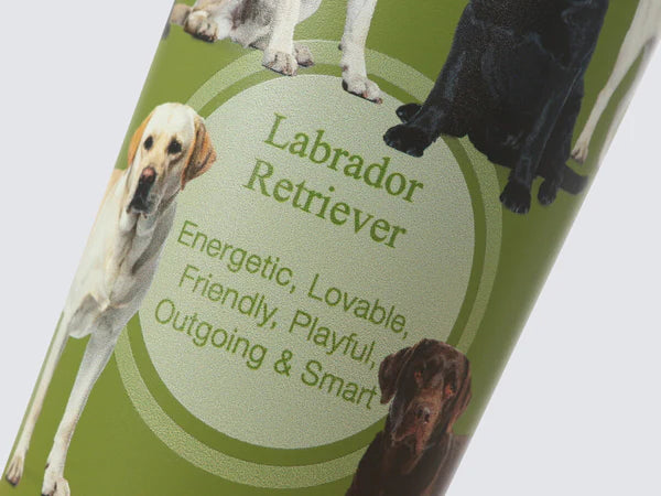 Load image into Gallery viewer, GB Tumbler - Hot &amp; Cold Drinks Capsule - Labrador Retriever
