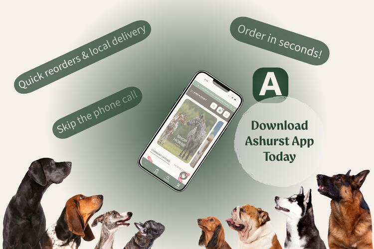 Download Ashurst App TODAY