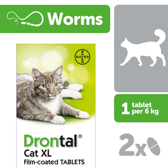 Vetoquinol Drontal Cat Xl Film Coated Tablets