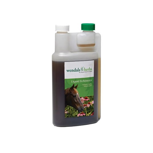 Wendals Liquid Echinacea