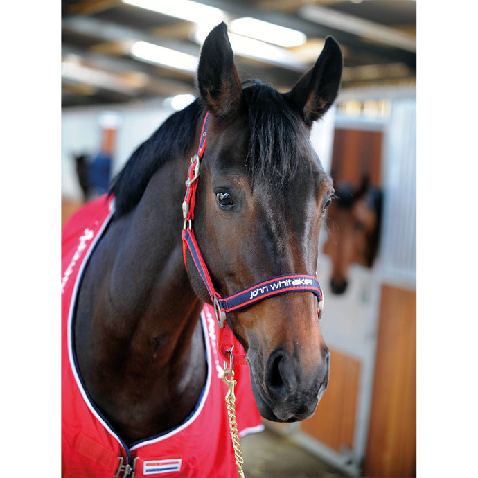 Whitaker Padded Fleece Headcollar Red/Navy