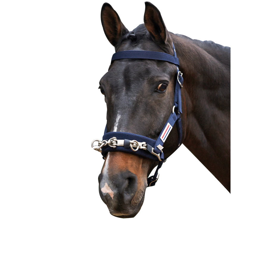 Whitaker Lunge Cavesson Navy Cob