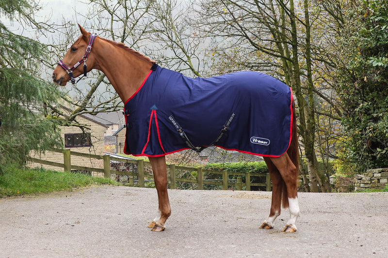 Load image into Gallery viewer, Whitaker Rastrick Stable Sheet V2 Navy
