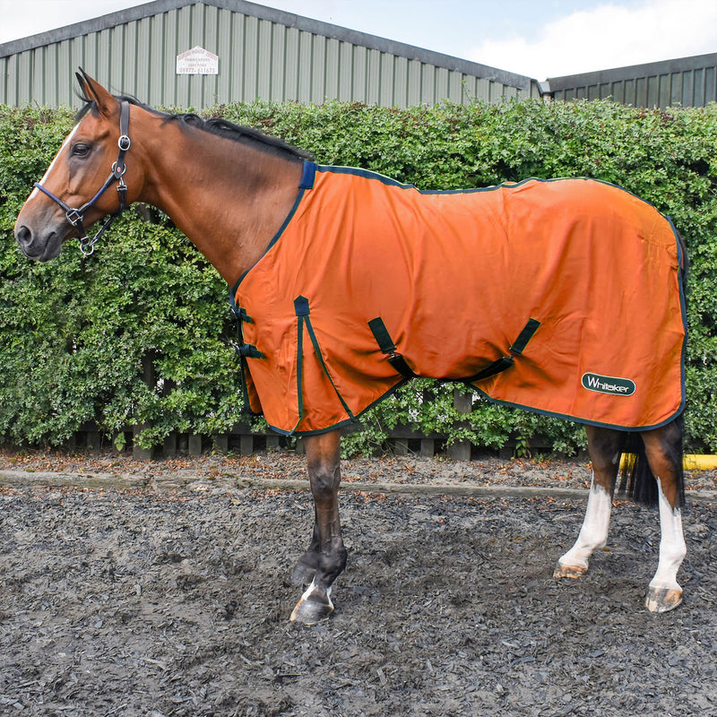 Load image into Gallery viewer, Whitaker R370 Allerton Multi Function Cotton Sheet Orange
