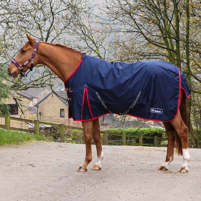 Whitaker R443 Rastrick V2 100 G Turnout Rug Navy