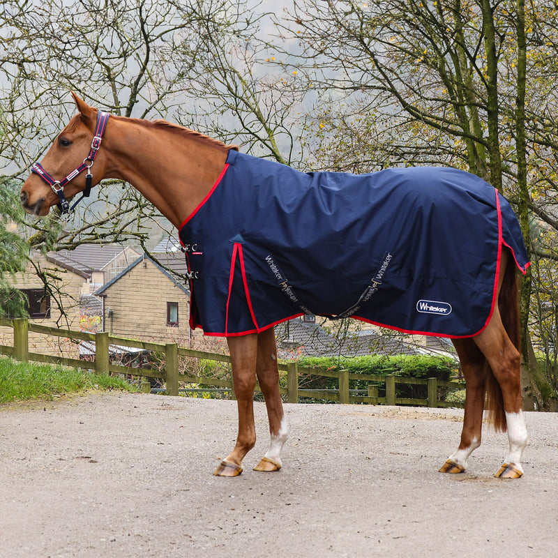 Load image into Gallery viewer, Whitaker R443 Rastrick V2 100 G Turnout Rug Navy
