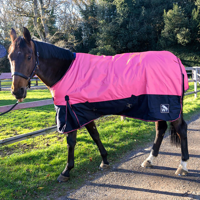 Whr1 W Horse 0 G Turnout Rug Pink/Navy