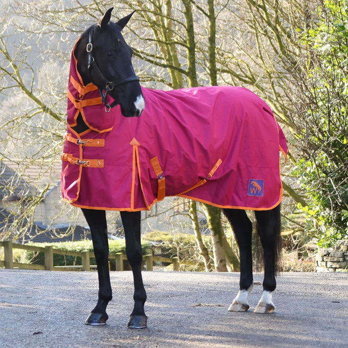 Whr2 F W Horse 0 G Fixed Neck Turnout Rug Wine