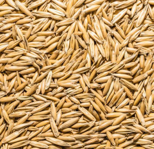 Whole Oats 20kg