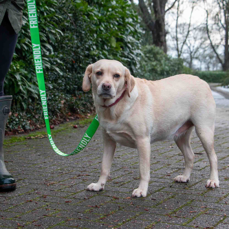 Load image into Gallery viewer, Awareness Training &amp; Safety Dog lead 1.5m  'FRIENDLY'
