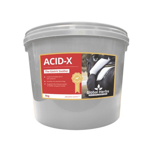 Acid - X - Global Herbs - Ashurst Equestrian & Country