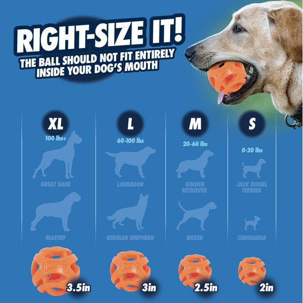 Load image into Gallery viewer, Chuckit! Air Fetch Stick Large
