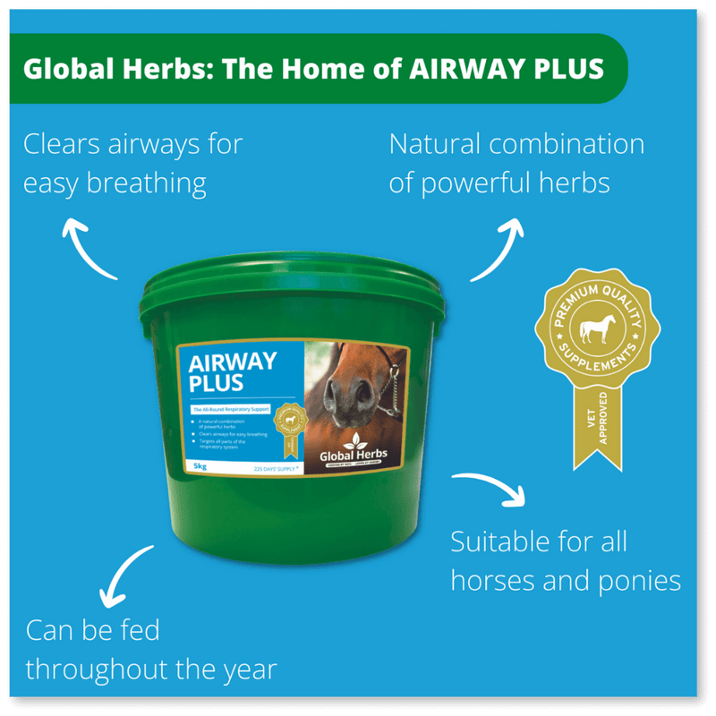 Load image into Gallery viewer, Airway Plus Powder - Global Herbs - Ashurst Equestrian &amp; Country
