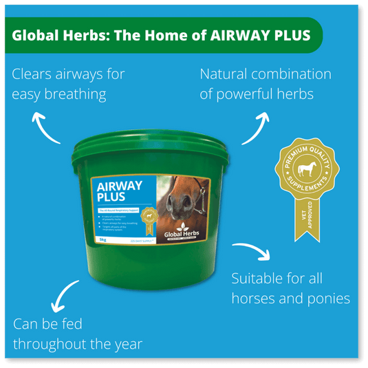 Airway Plus Powder - Global Herbs - Ashurst Equestrian & Country