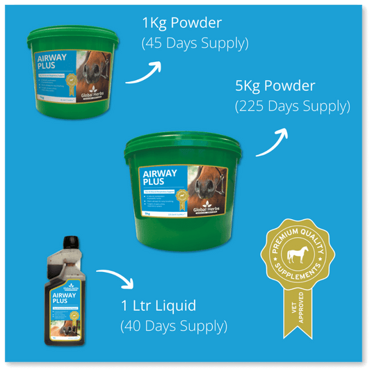 Airway Plus Powder - Global Herbs - Ashurst Equestrian & Country